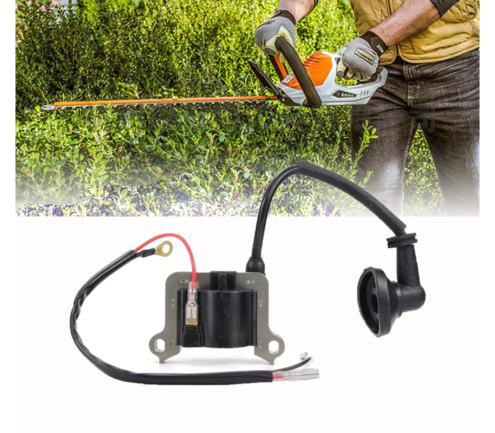 class=img-responsive