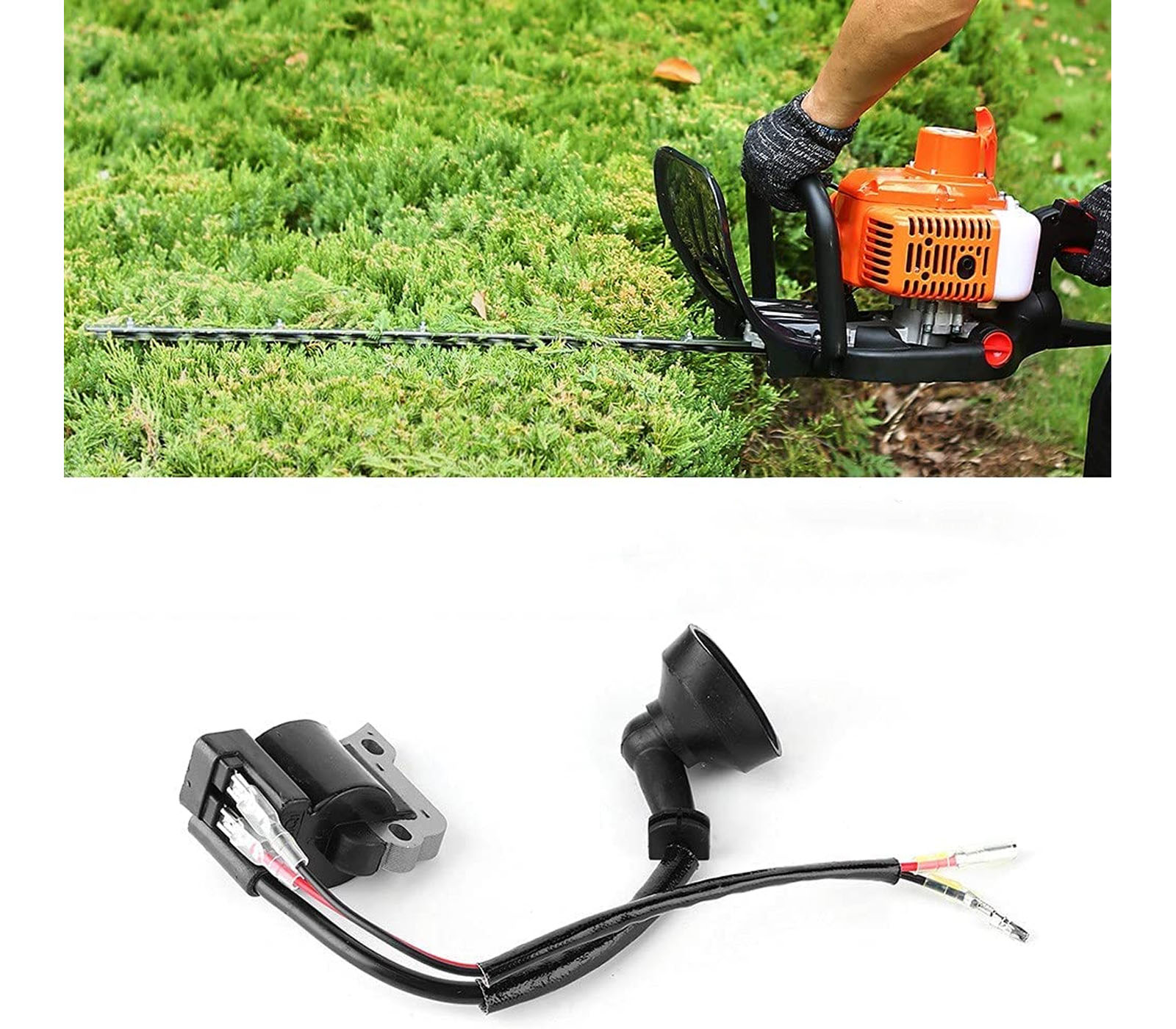 class=img-responsive