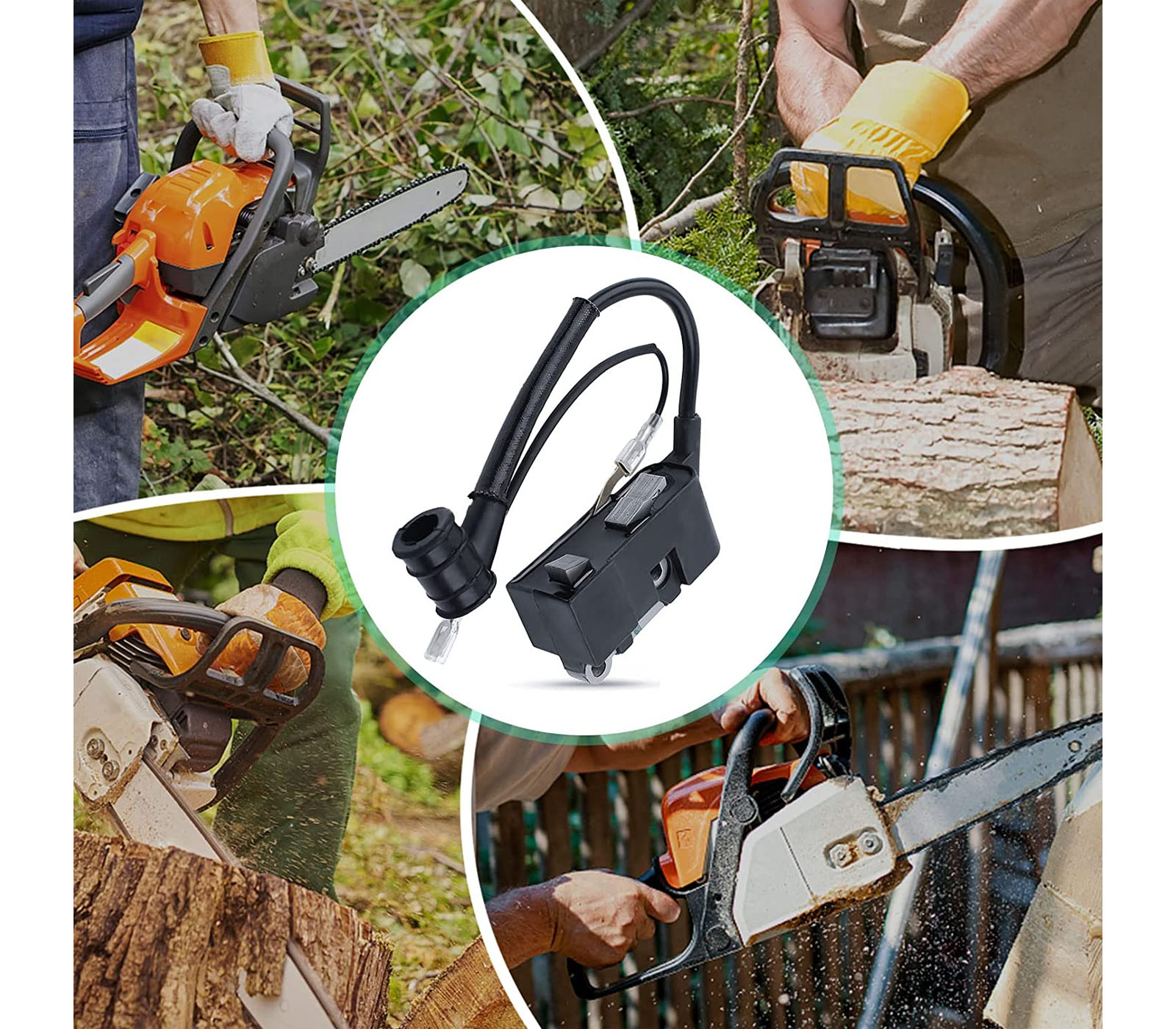 class=img-responsive