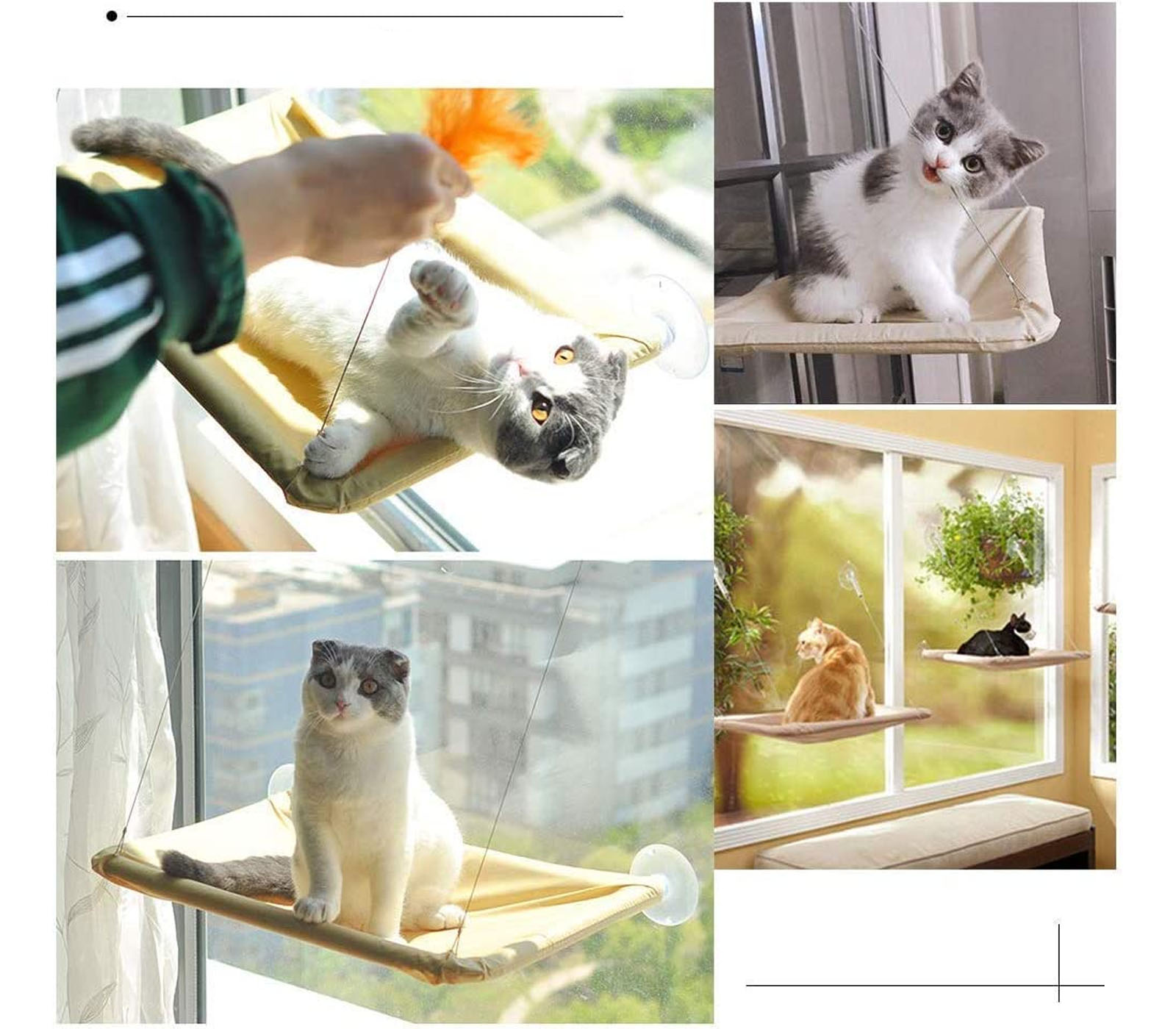 class=img-responsive