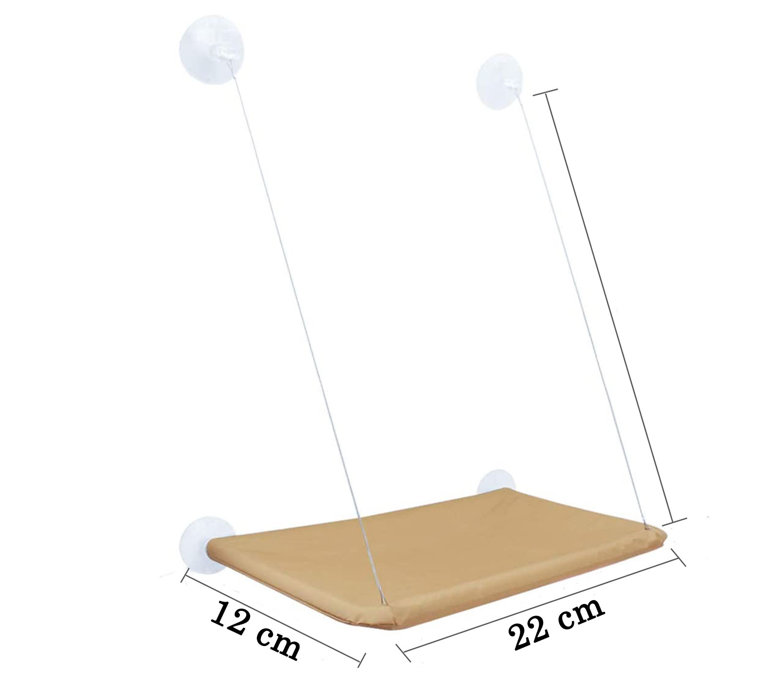 class=img-responsive