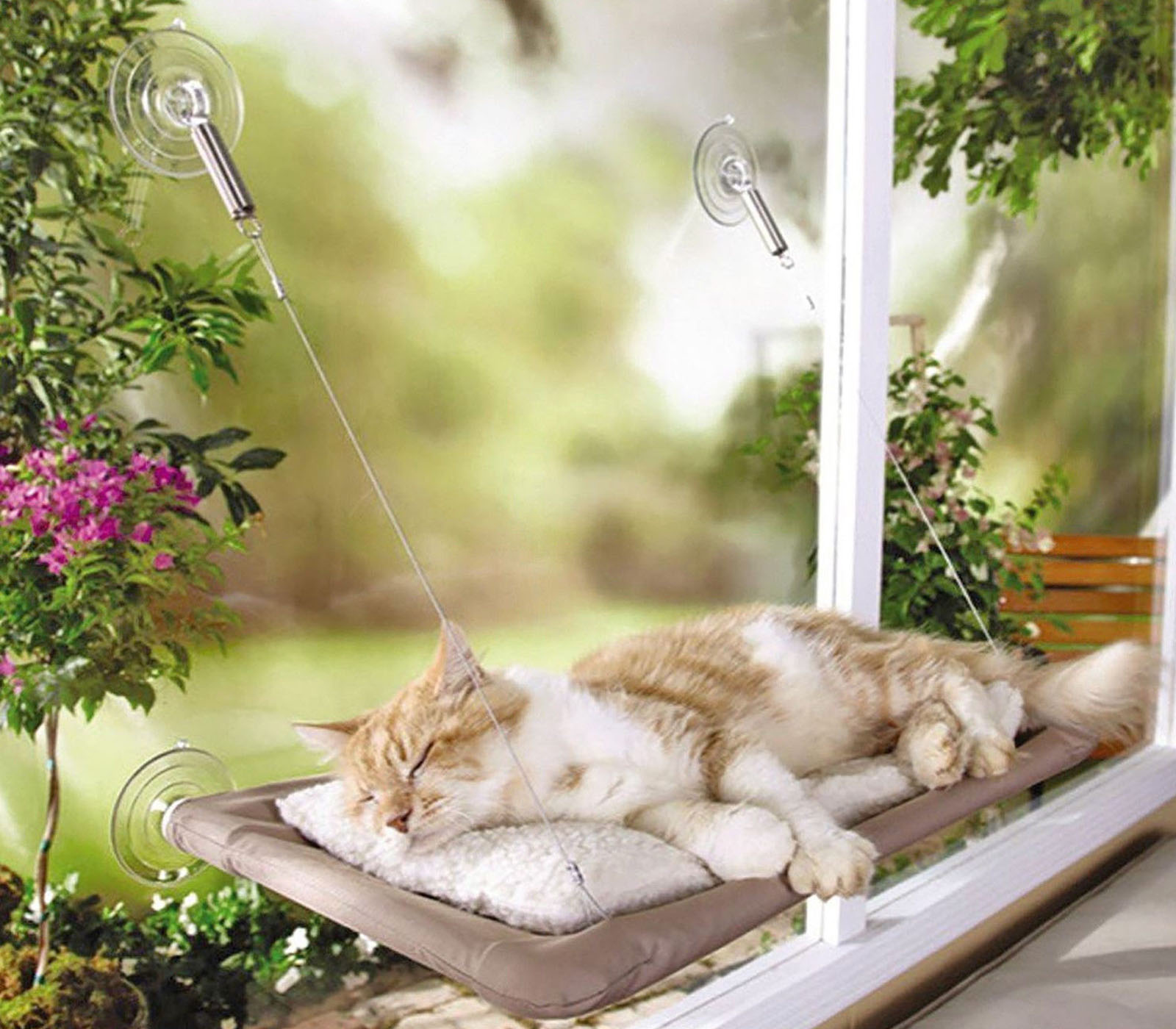 class=img-responsive