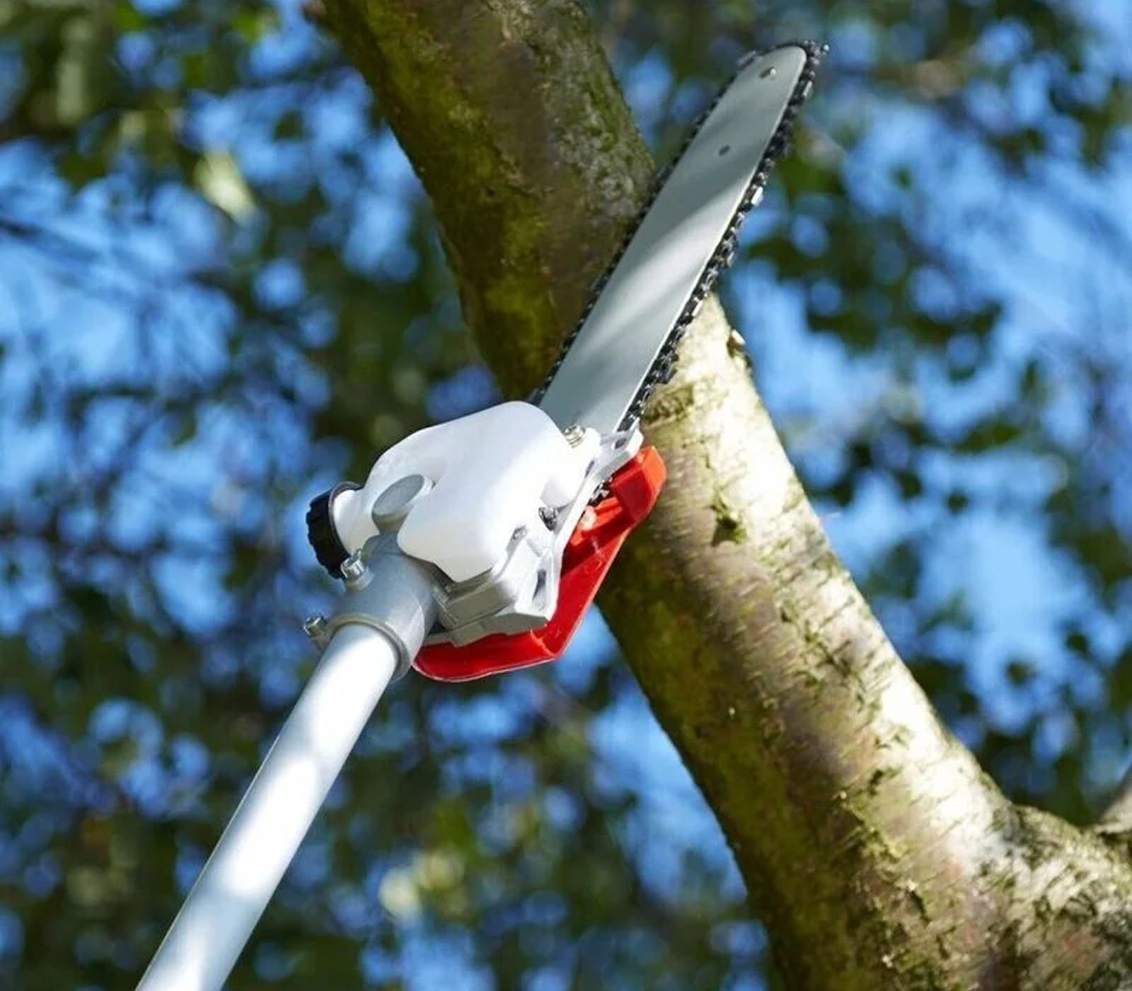 class=img-responsive