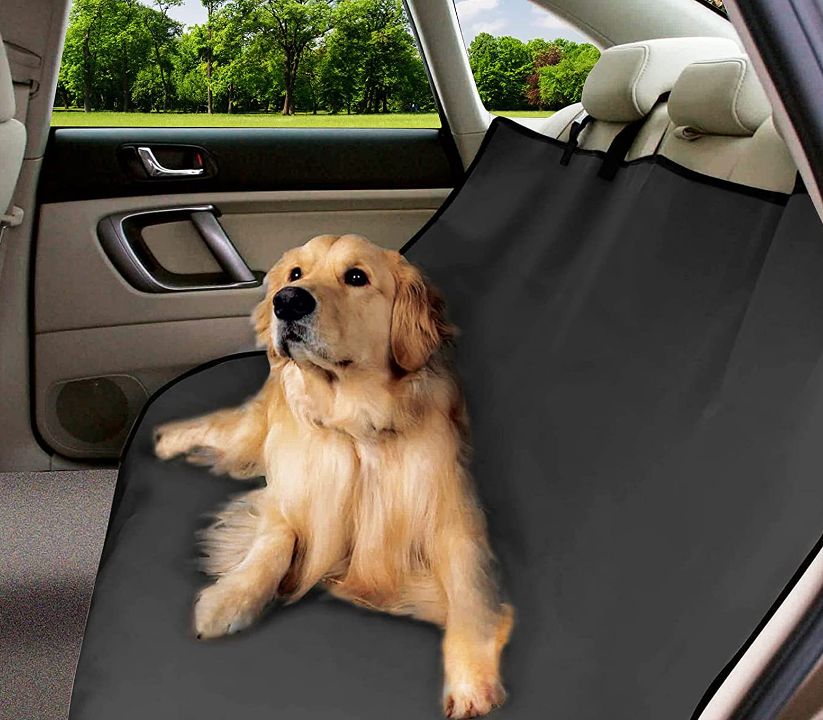 class=img-responsive