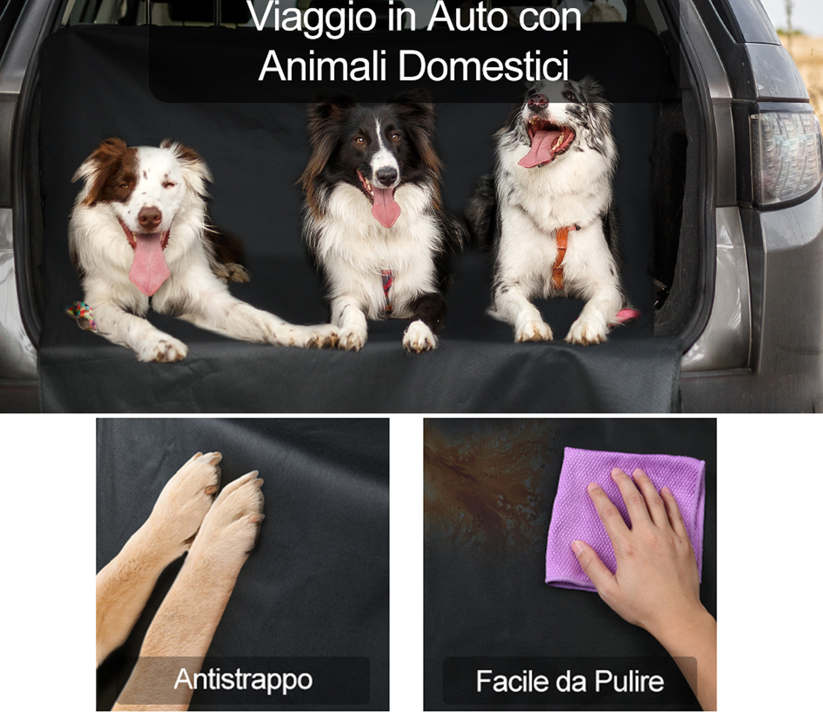 class=img-responsive