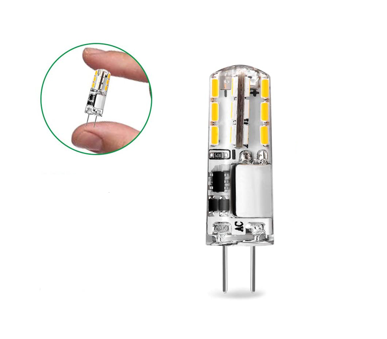 class=img-responsive