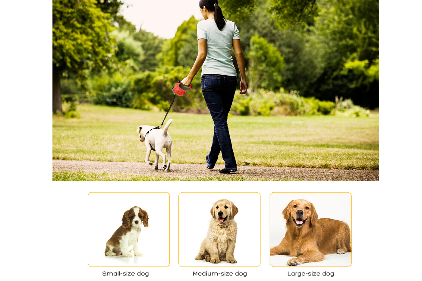 class=img-responsive