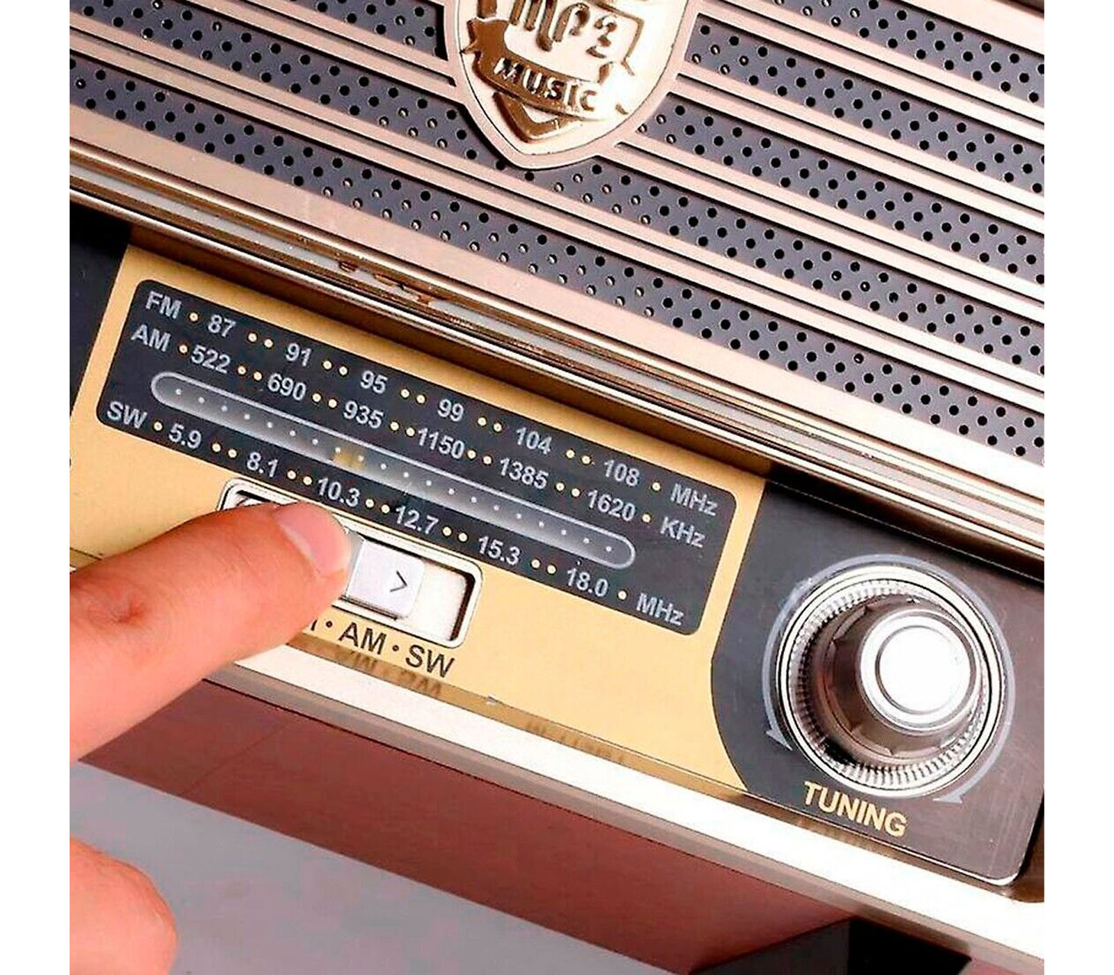 class=img-responsive