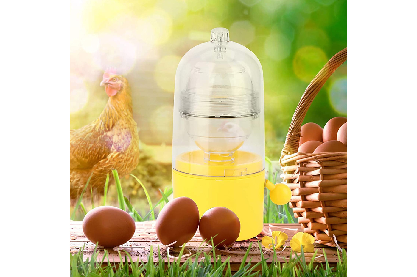 class=img-responsive