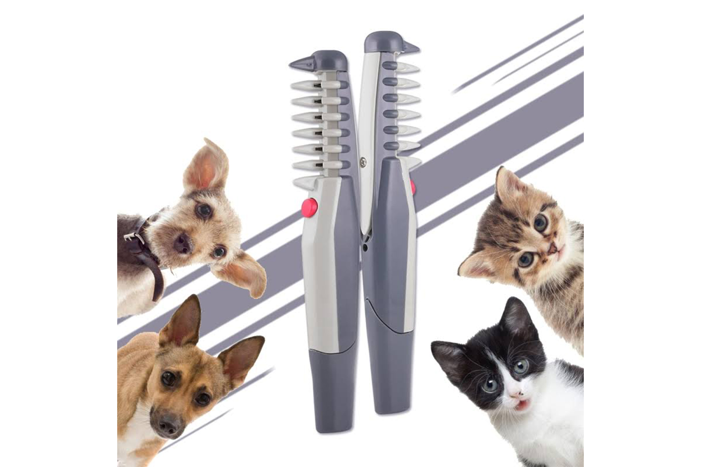 class=img-responsive