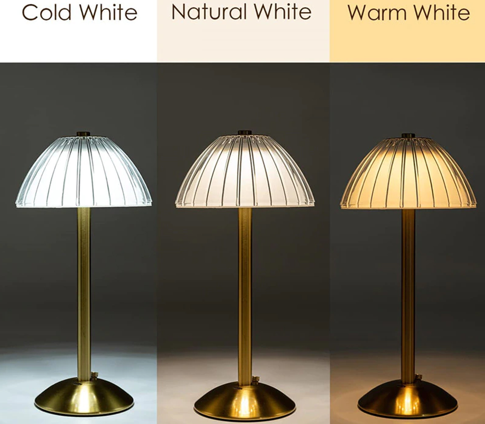 class=img-responsive