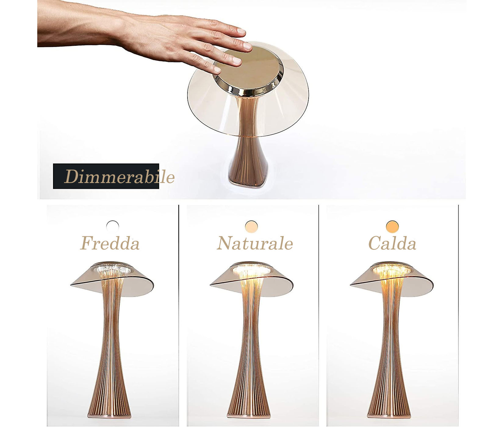 class=img-responsive