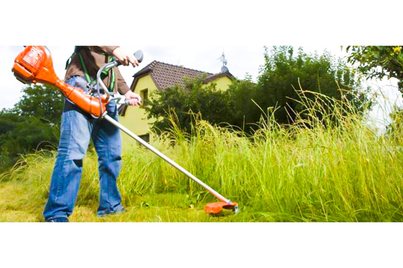 class=img-responsive