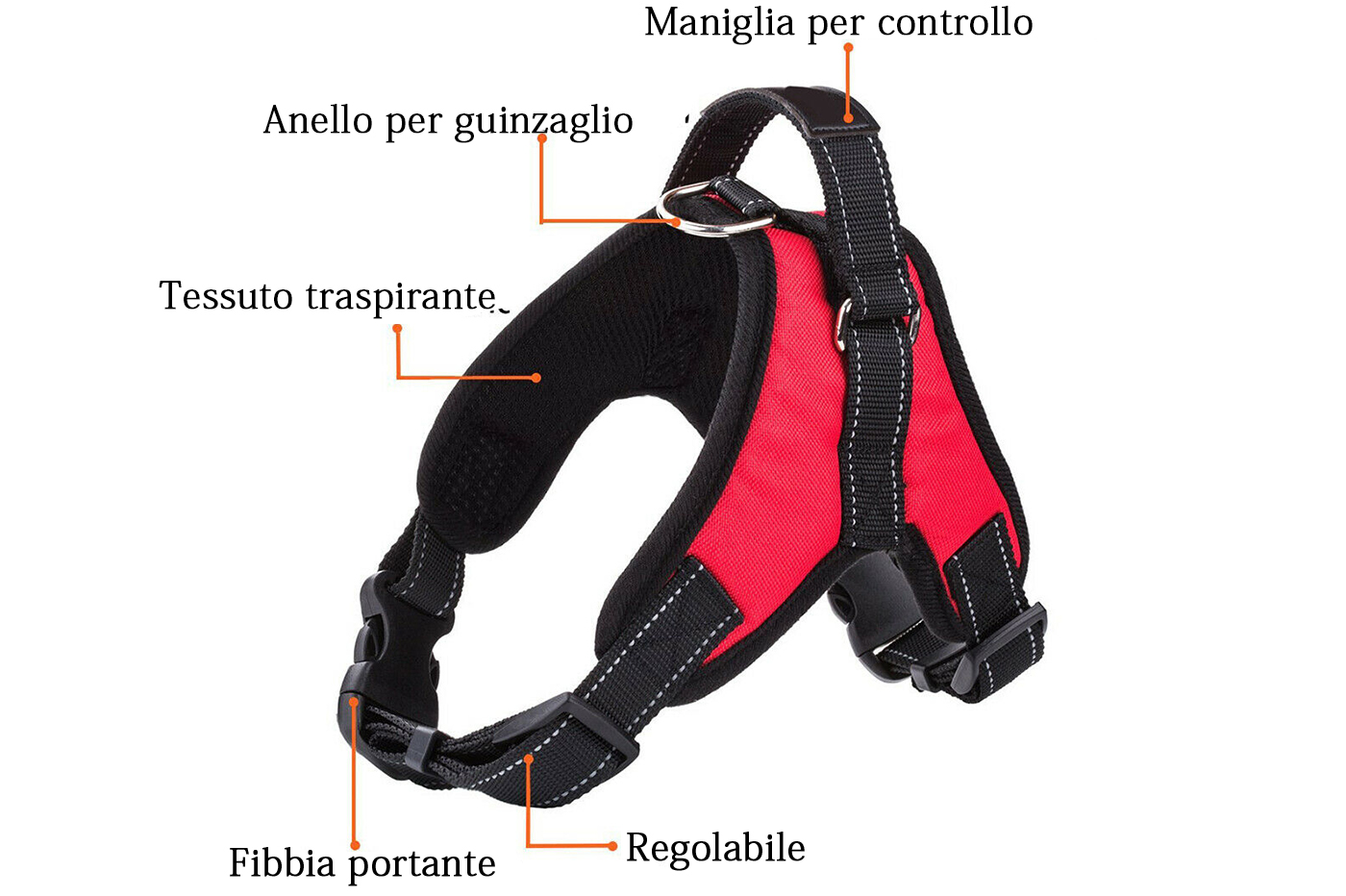 class=img-responsive