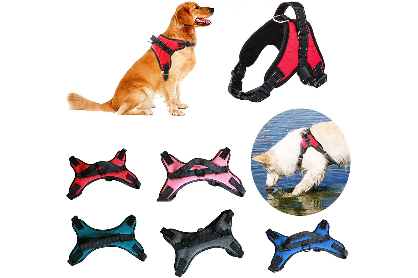 class=img-responsive