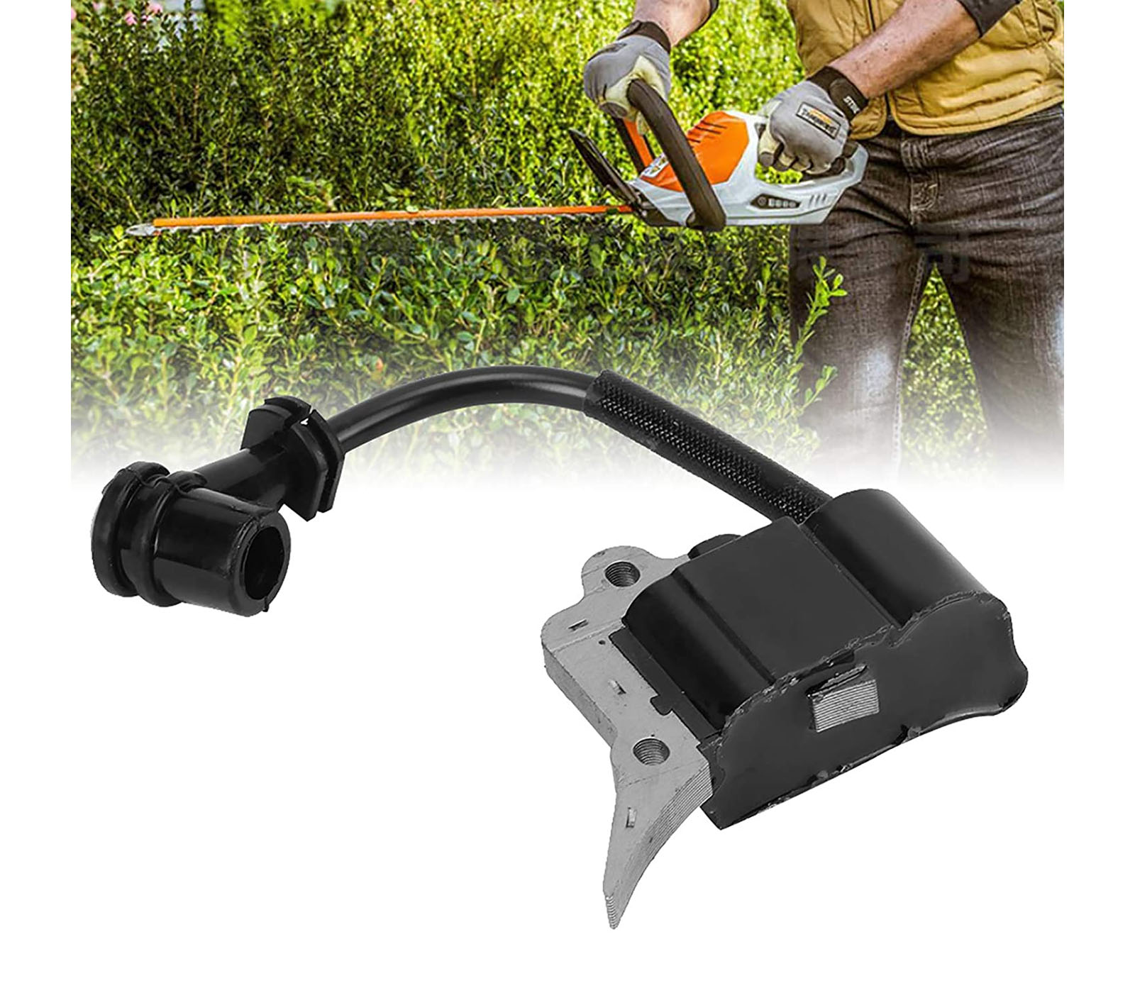 class=img-responsive