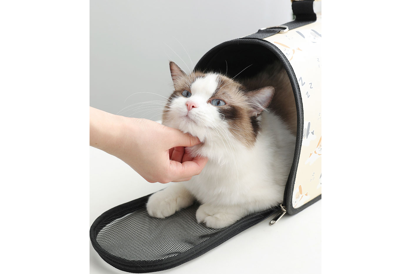 class=img-responsive