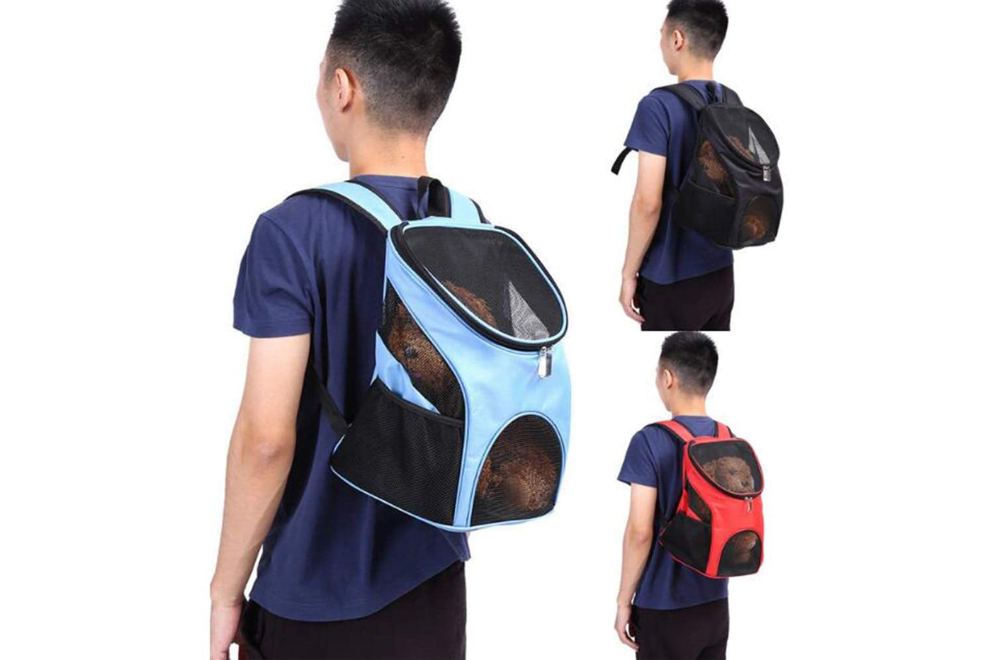 class=img-responsive