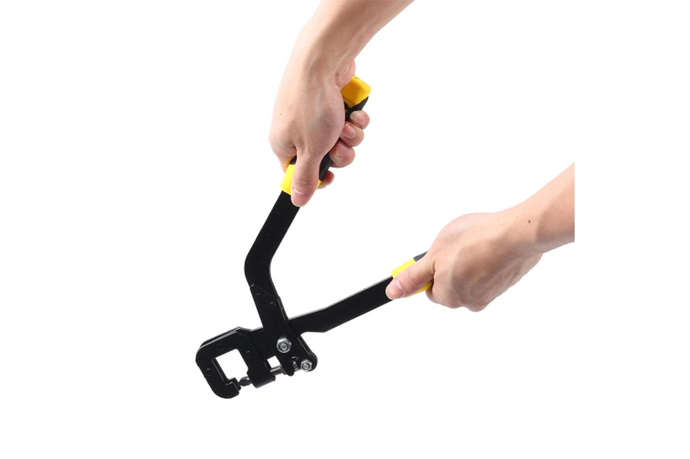 class=img-responsive