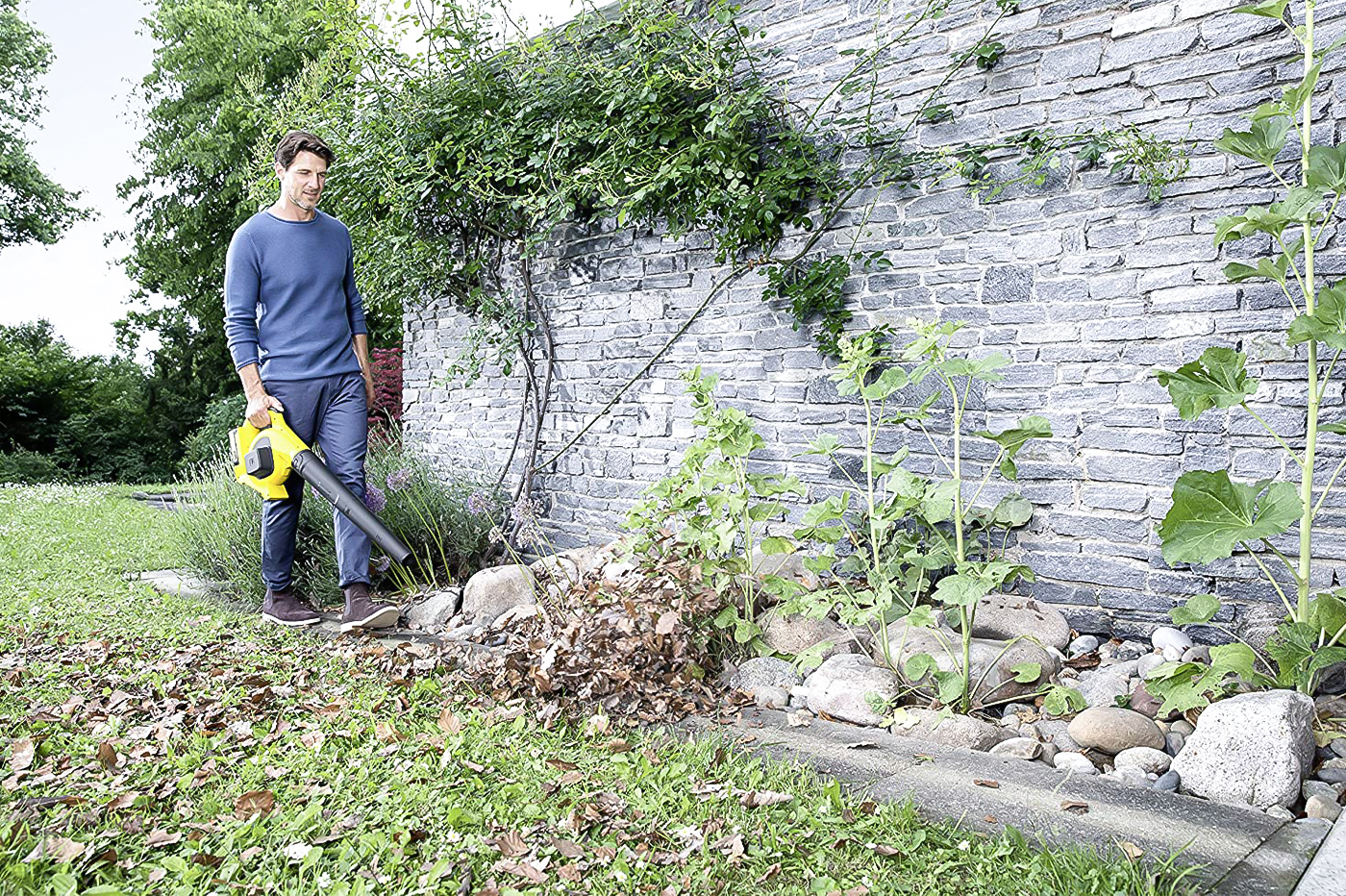 class=img-responsive