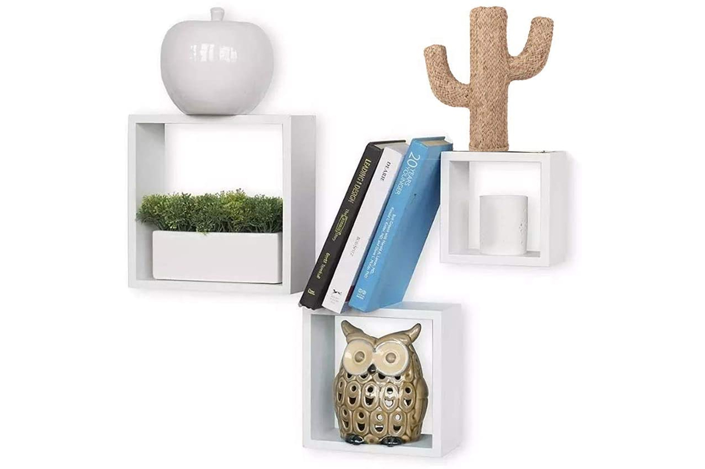 class=img-responsive