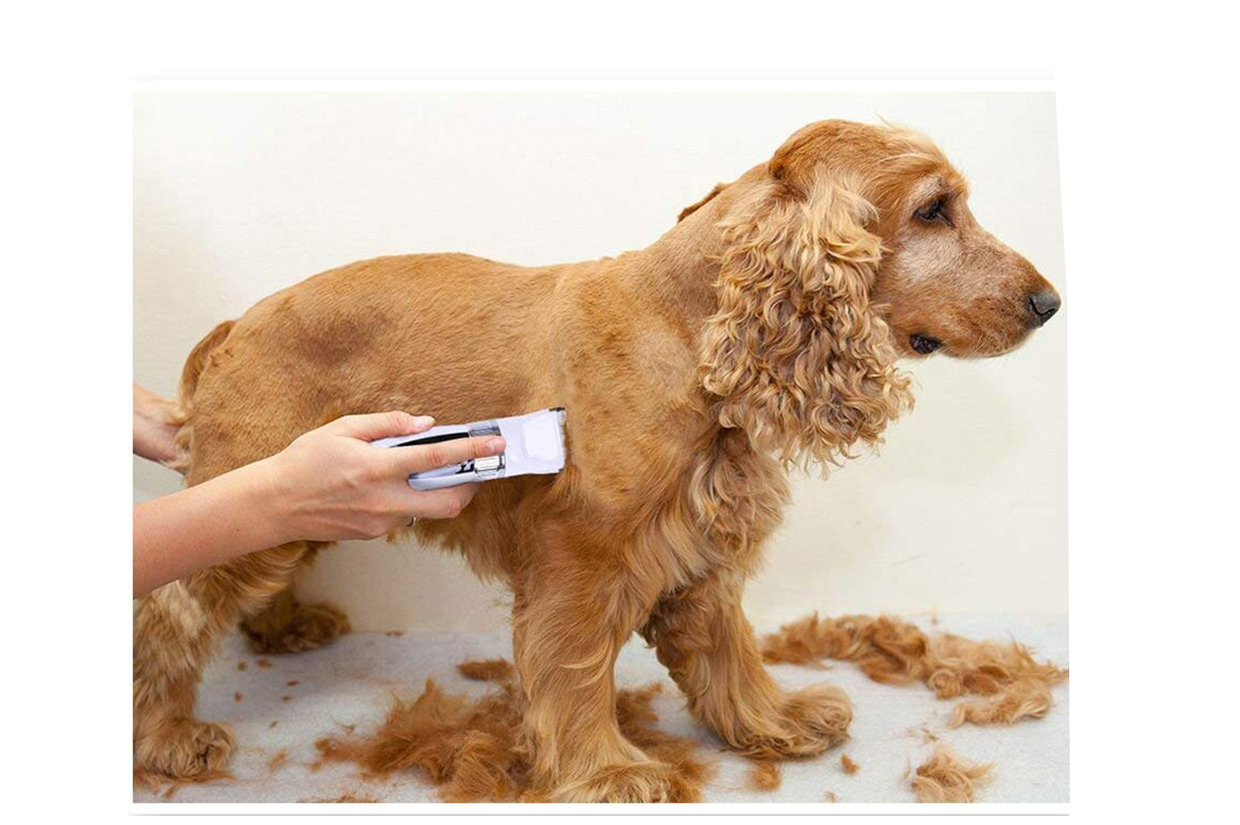 class=img-responsive