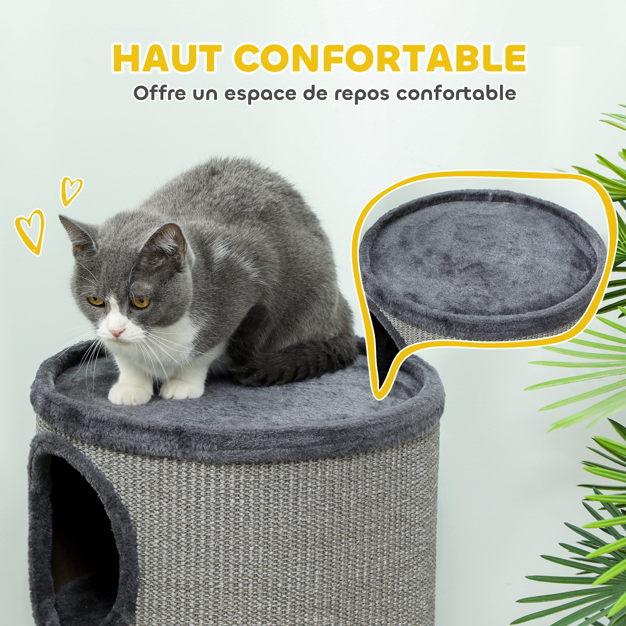 Tour à griffer dans la maison