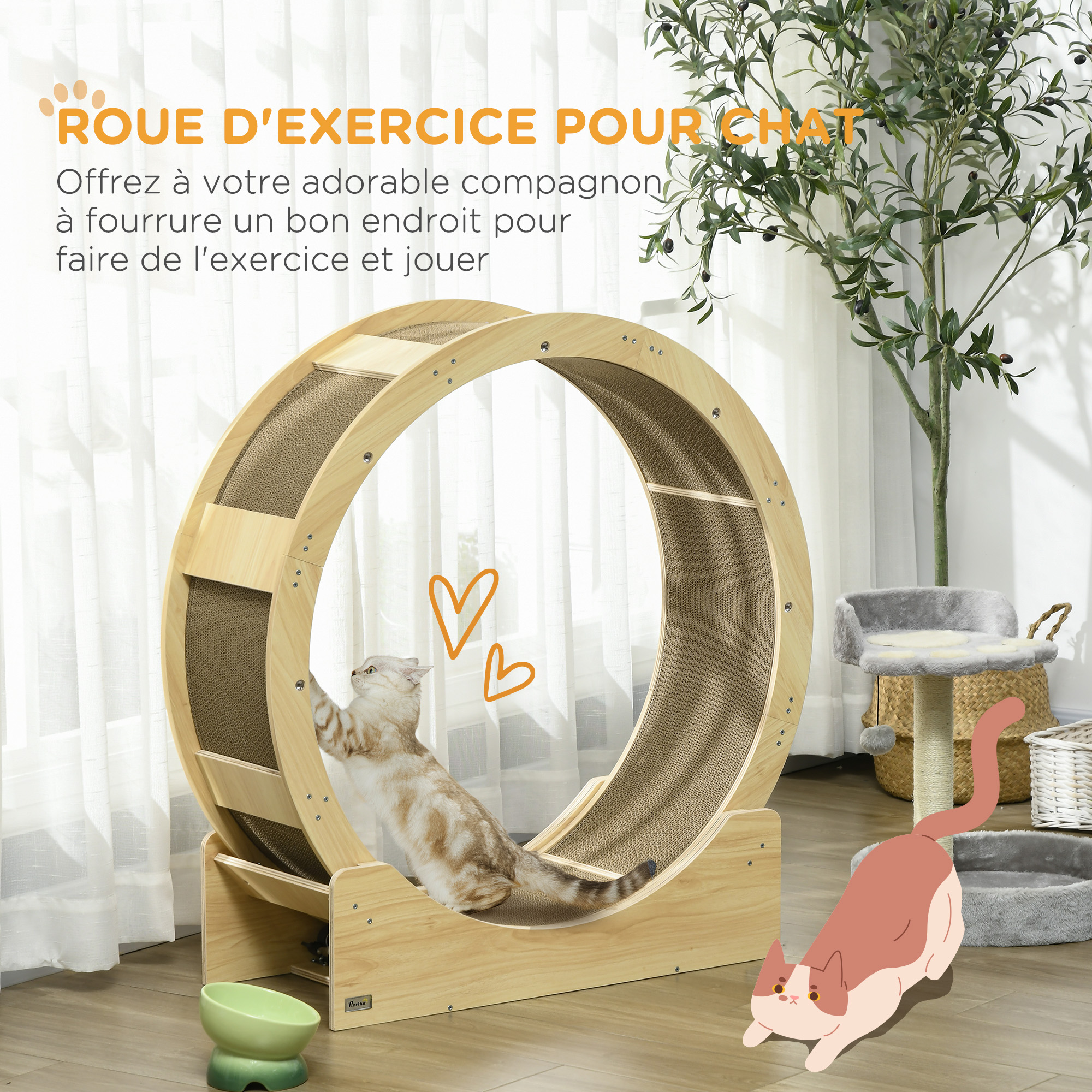 Roue d'exercice pour chat avec griffoir intégré