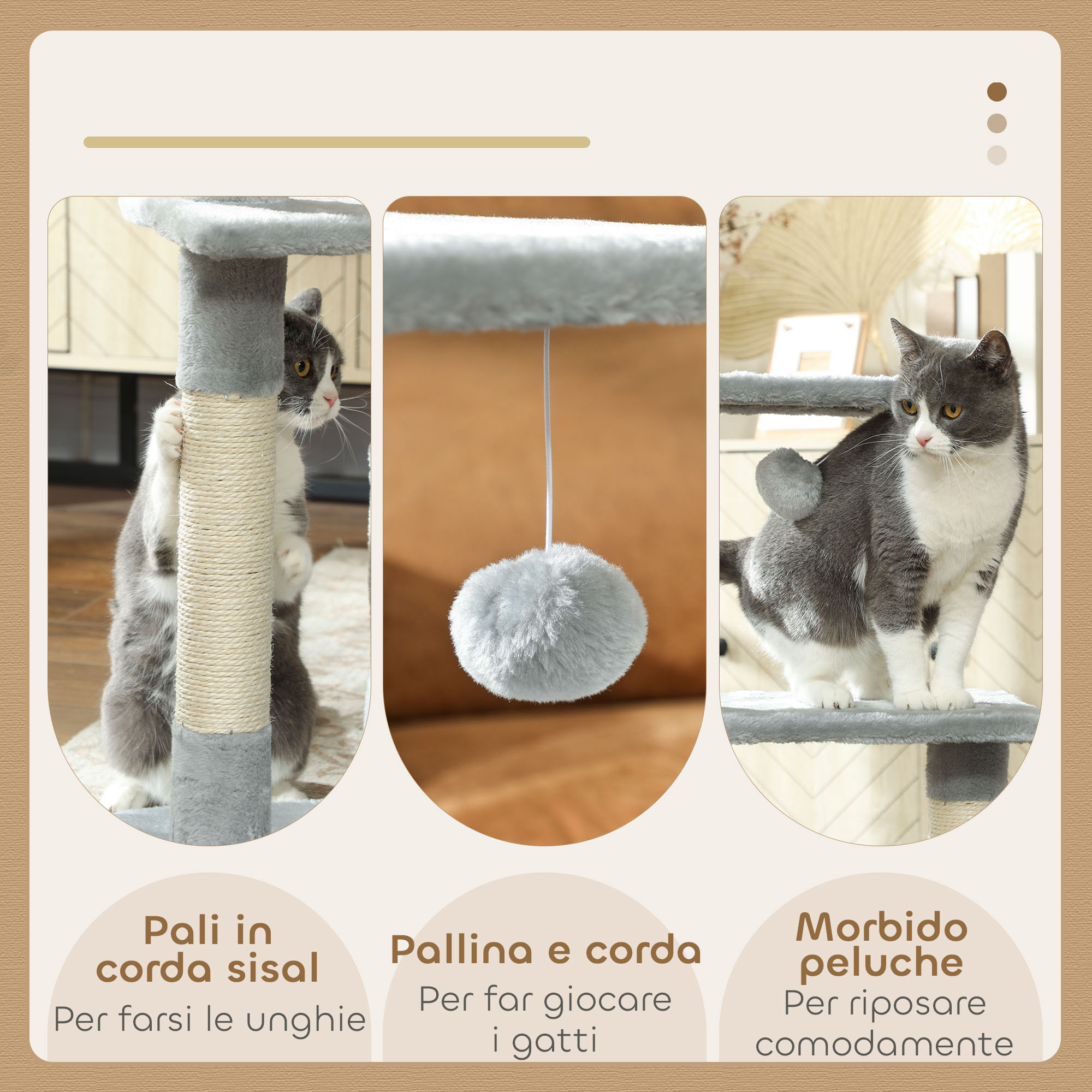 Arbre à chat dans la maison