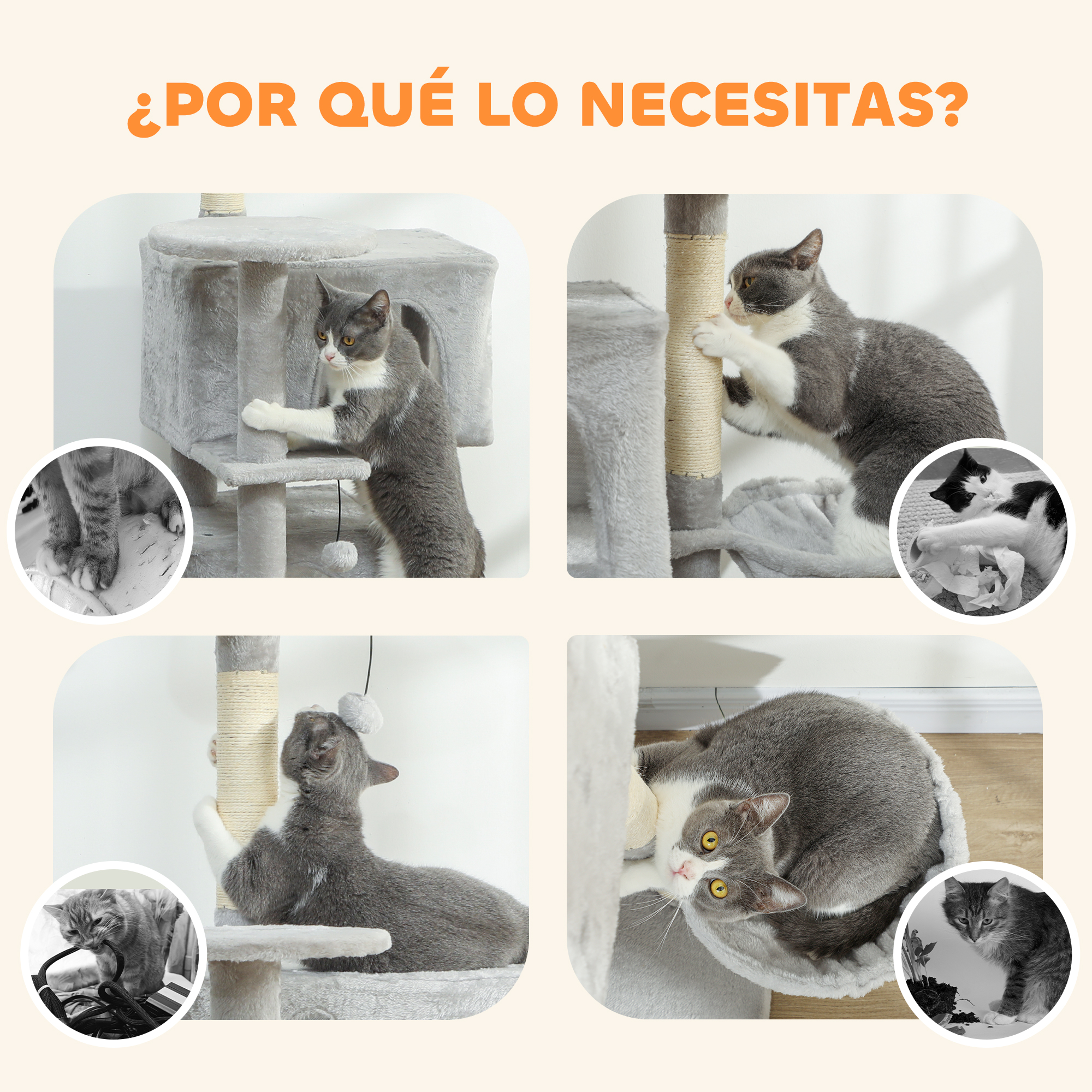Base renforcée et stabilité de l'arbre à chat