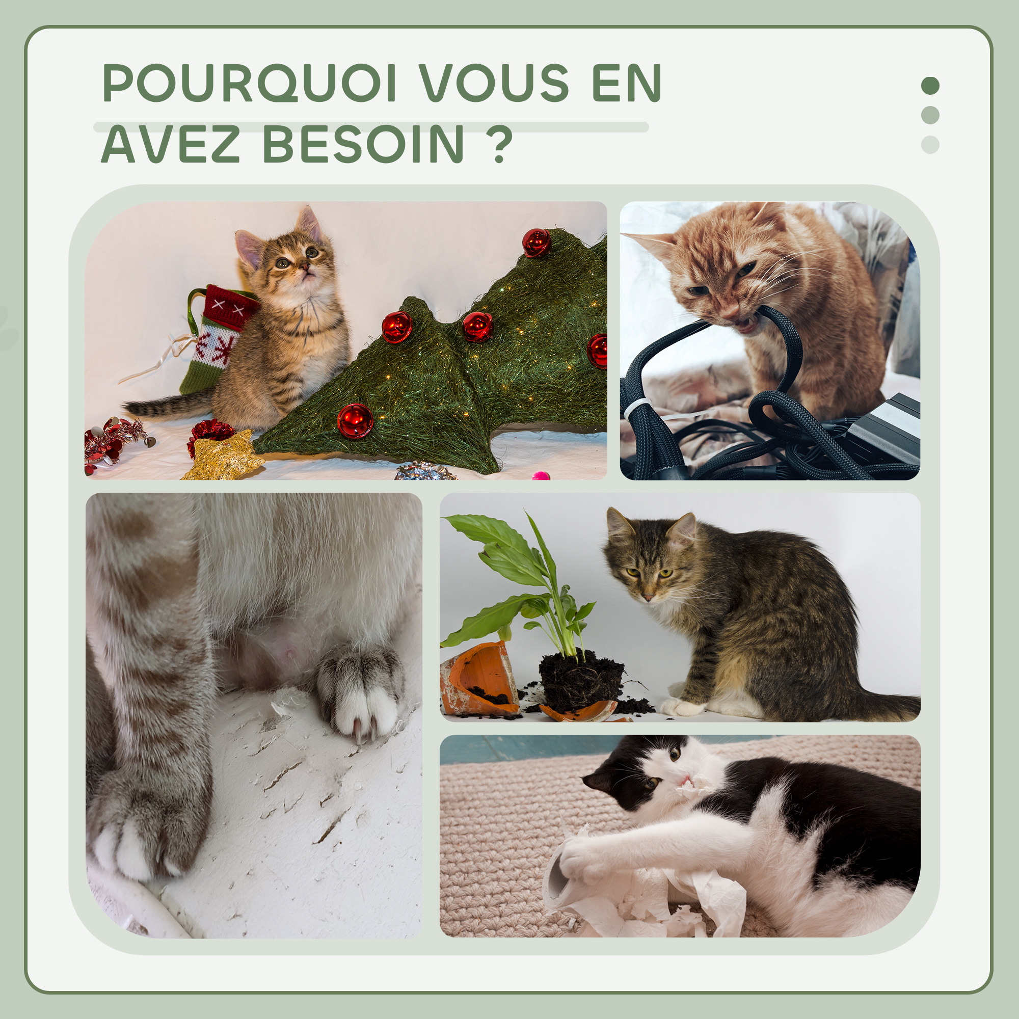 Vue du produit