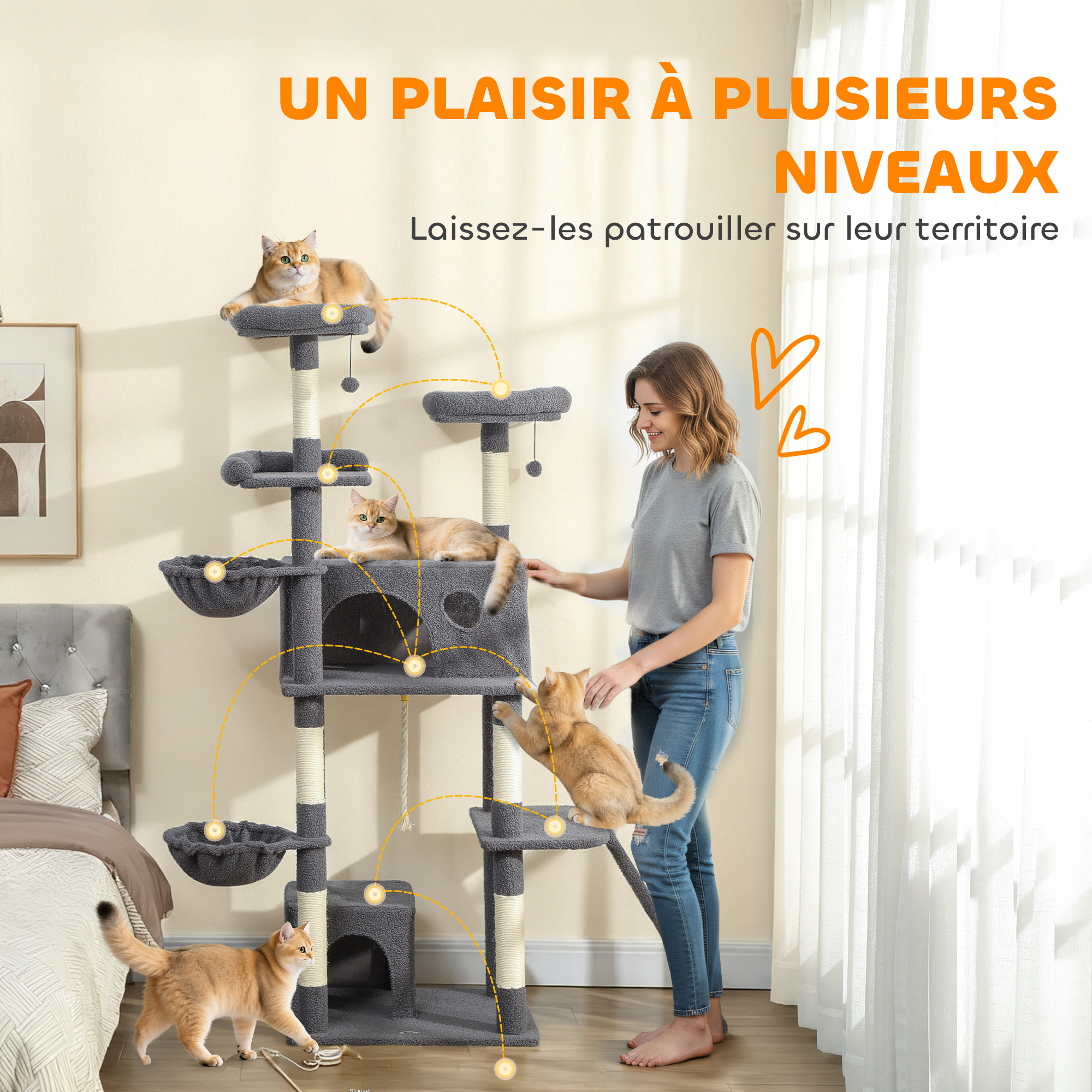 Vue du produit