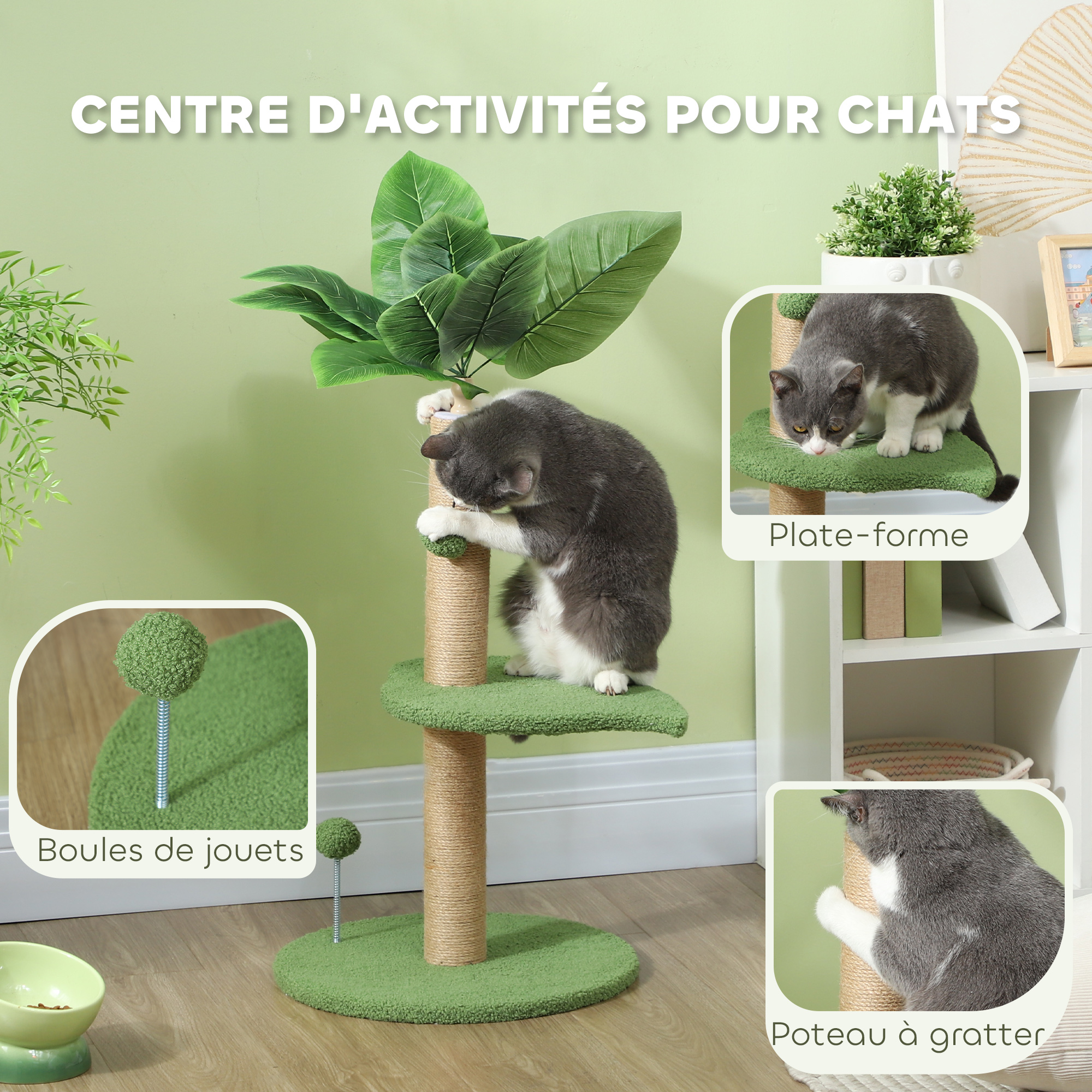 Vue du produit