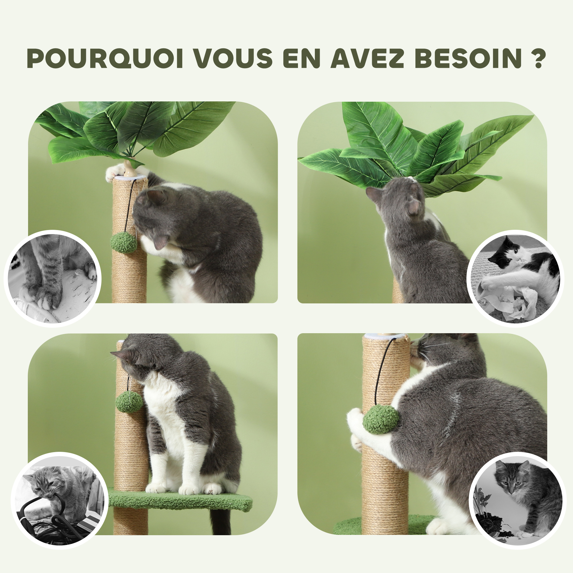 Vue du produit