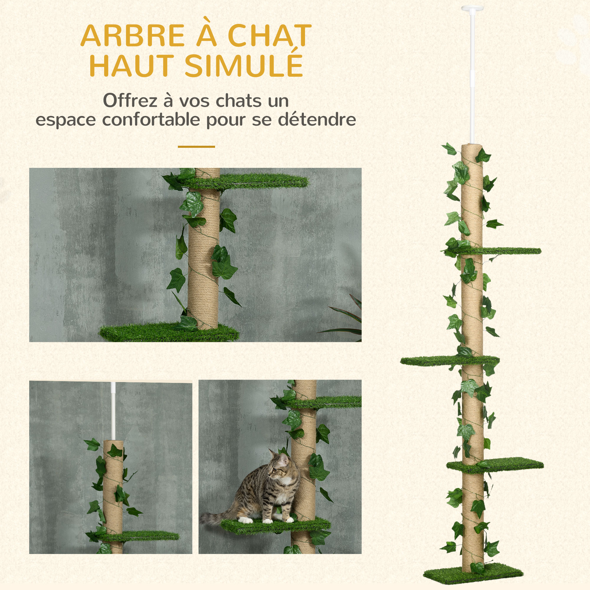Vue du produit