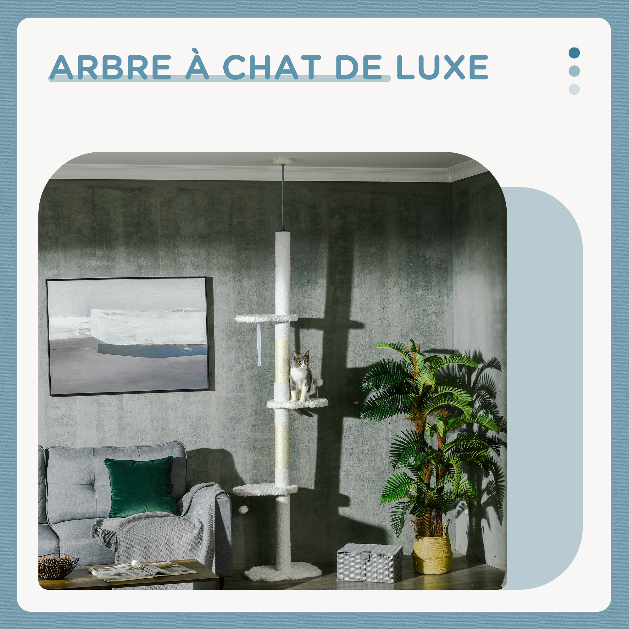 Vue du produit