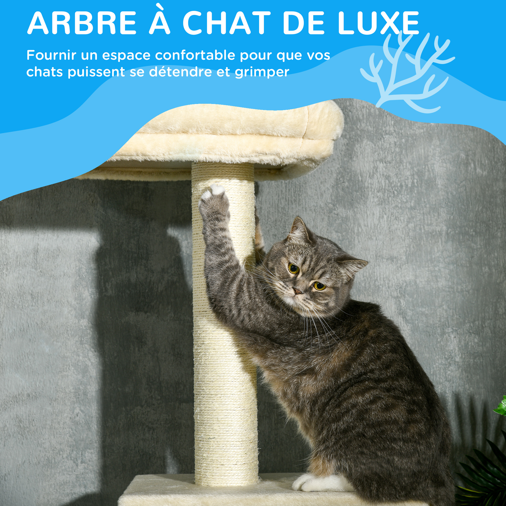 Vue du produit