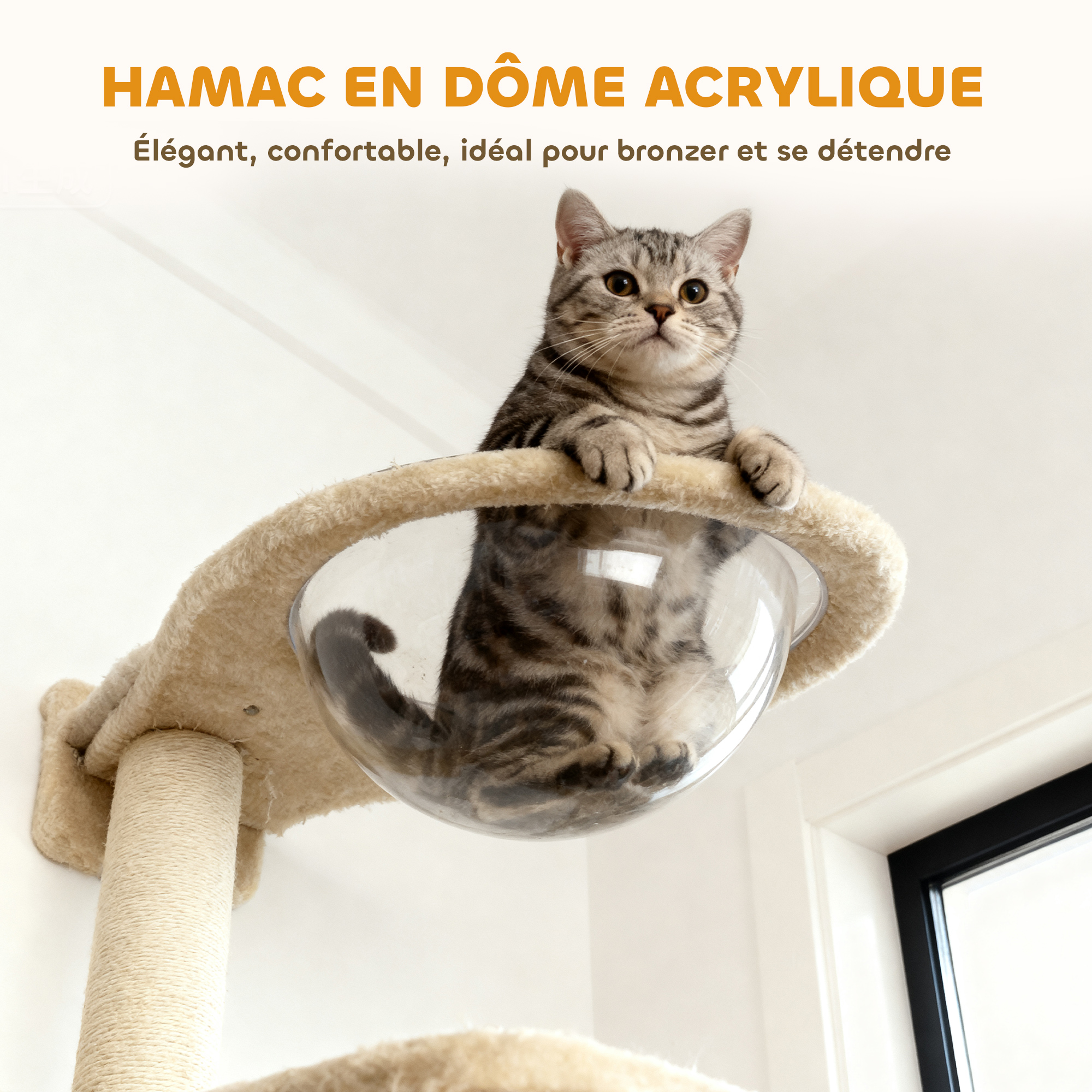 Vue du produit