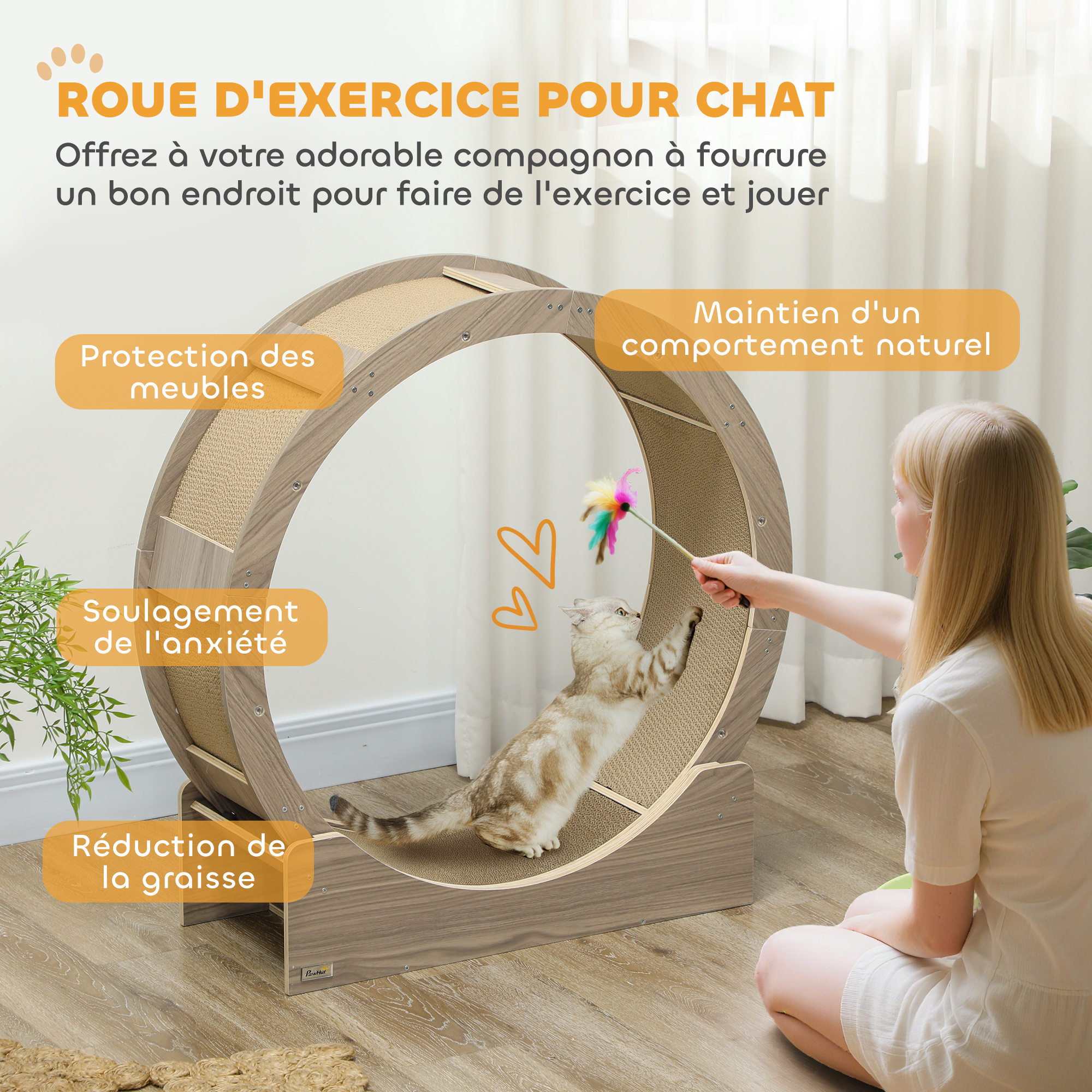 Roue d'exercice pour chat