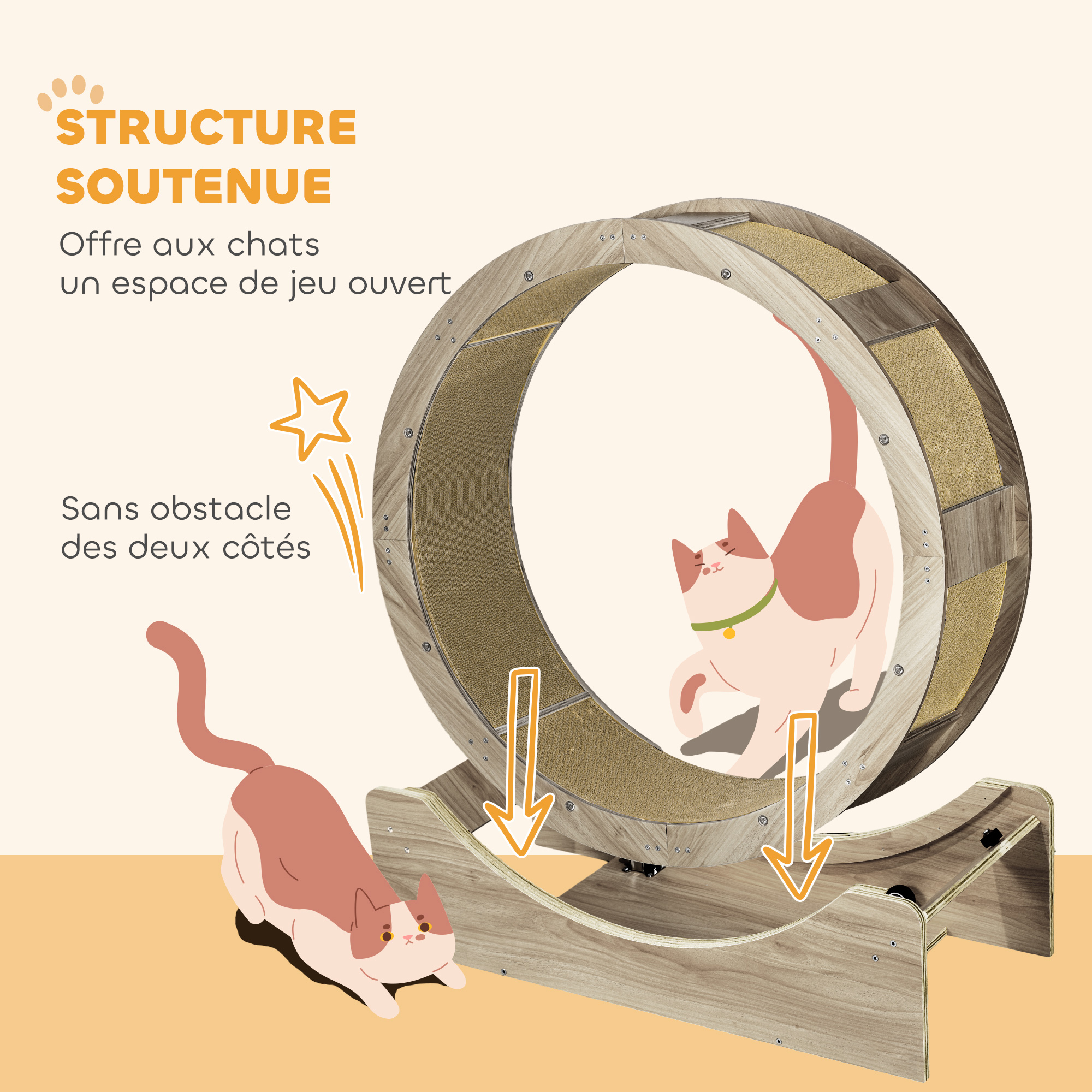 Roue d'exercice pour chat à la maison
