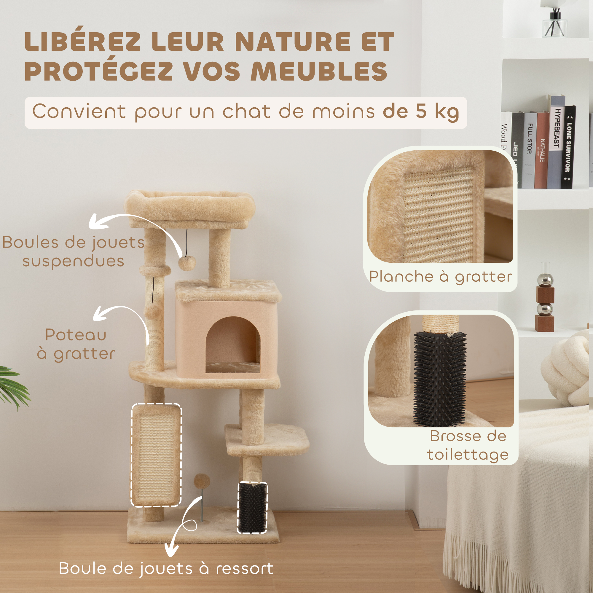 Arbre à chat dans la maison