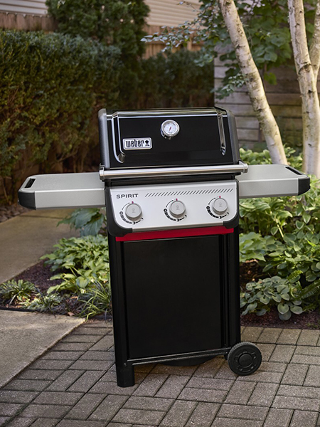 Barbecue Weber
