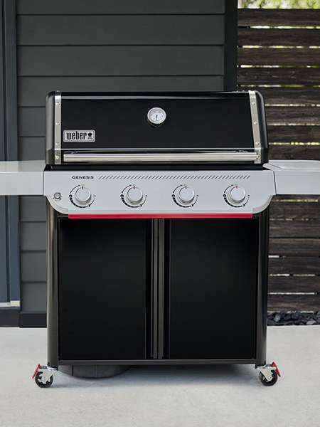 Barbecue Weber