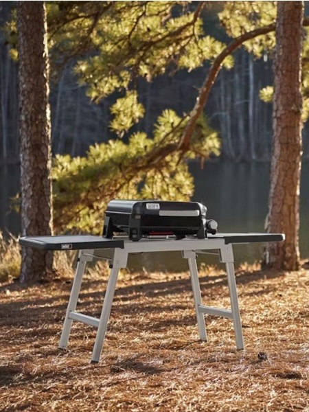 Weber-Grill