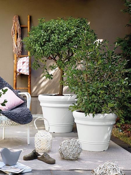 Vases Véca