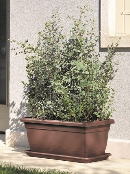 Vases Véca