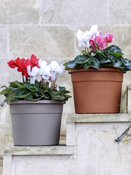Vases Véca