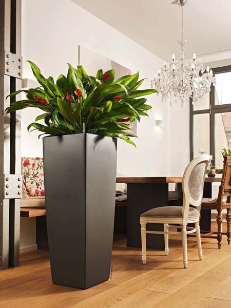 Vases Véca