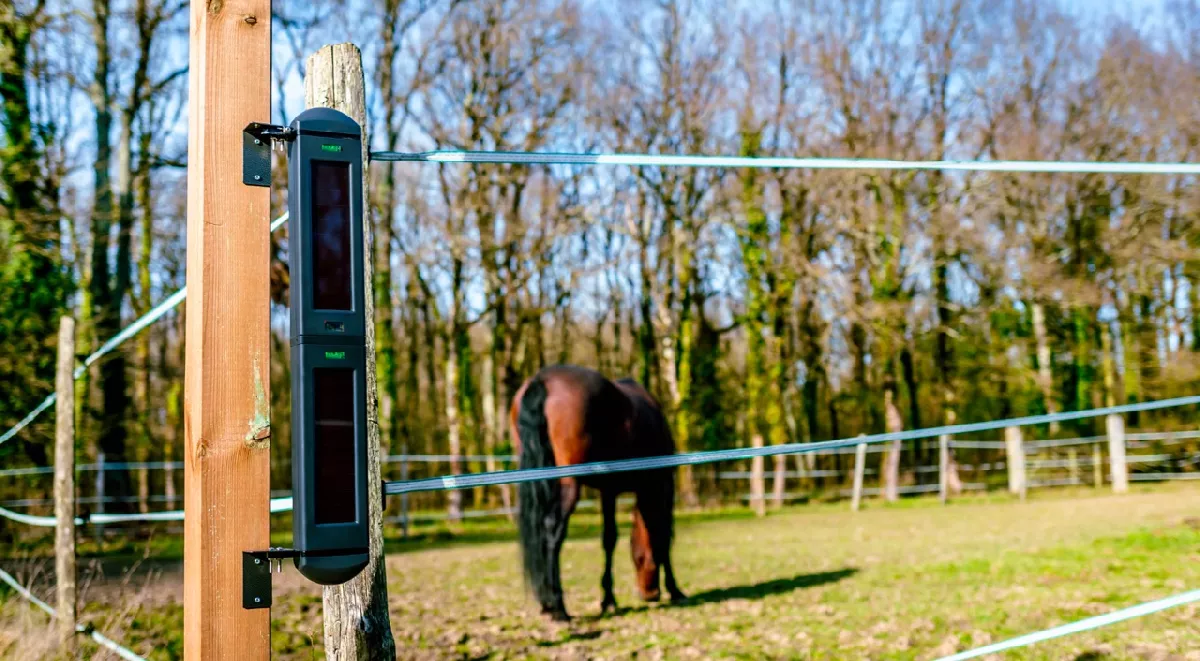 Barrière2B-Cheval