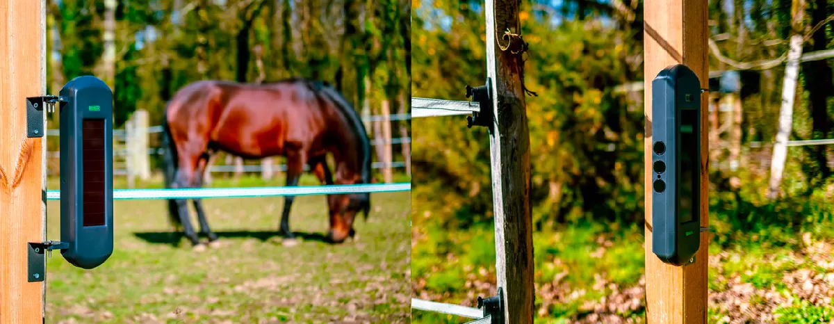 Barrière1B-Cheval